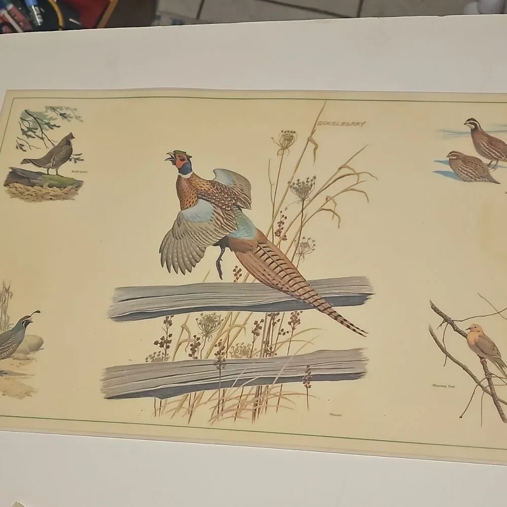 Vintage Eckelberry Bird PlacematSet Quail Pheasant Wildlife Sporting Lodge Decor - Picture 7 of 10